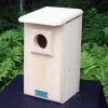 Coveside Saw-whet And Screech Owl House Owl Houses