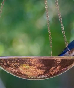 The Birdhouse Chick Solar Bubbler Copper Bird Bath W/ Hanger