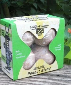 Wildlife Sciences Peanut Blend Suet Balls Specialty Foods & Mealworms