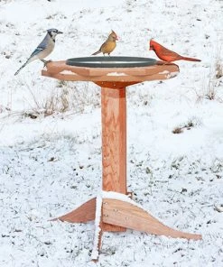Songbird Essentials Recycled Birdhouses Tall Heated Bird Bath | Cedar Or Poly