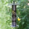 Perky Pet Upside-Down Finch Feeder