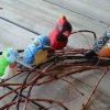 The Birdhouse Chick Wood Birds-Handcrafted Set/4 Statuary & Sculpture